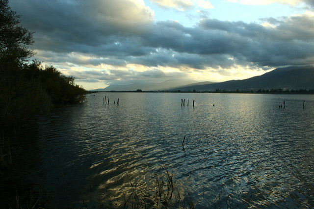 Etang de Biguglia, Ced6 (CC/BYNCND)