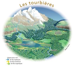 Tourbières