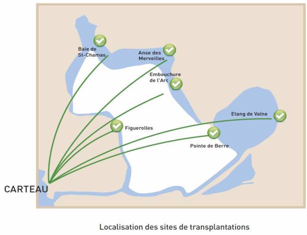 Localisation des sites de transplantation - GIPREB - 2009