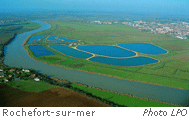 Lagunage de Rochefort-sur-mer photo RPO