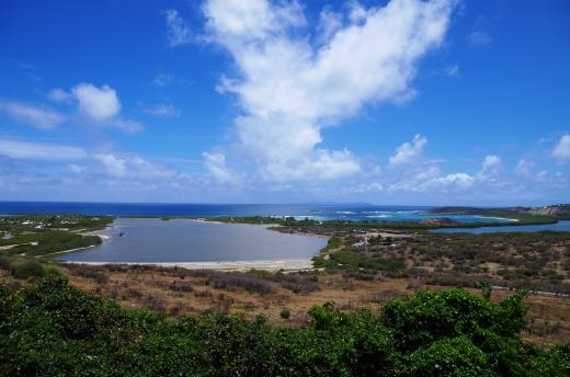 © M. Windstein - Pôle-relais Mangroves et ZH d'Outremer