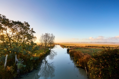 marais desseches ©Alexandre-Lamoureux