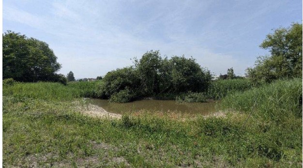 Mare récemment créée (hiver 2024-2025). © David Monnier