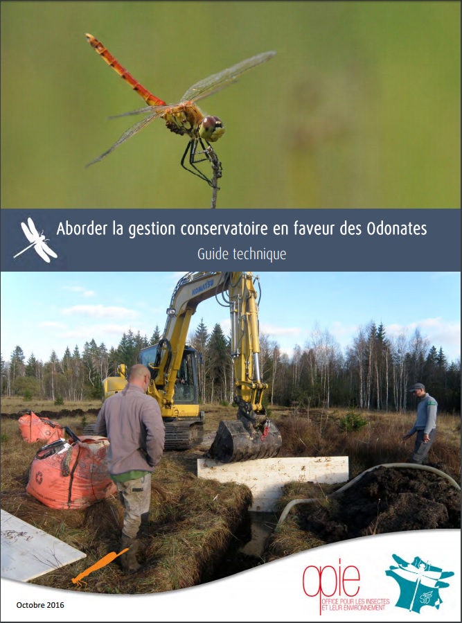 Aborder la gestion conservatoire en faveur des Odonates – Guide technique