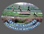ASMM